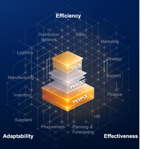 EPIC Model - Efficiency, Adaptability, Effectiveness